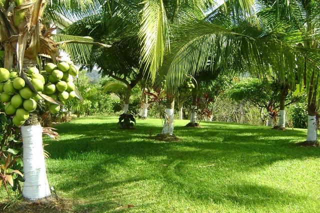 Villa Guarias Пунтаренас Екстер'єр фото